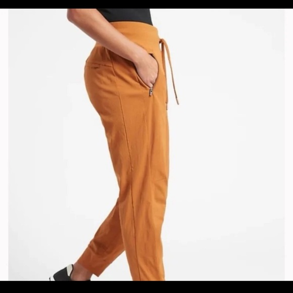 NWT ATHLETA Trekkie North Jogger in Cattail Brown 
size 24 - Picture 5 of 12